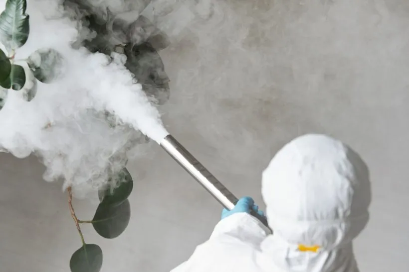 Technician in protective clothing applying an indoor pest control treatment